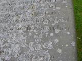 image of grave number 30407